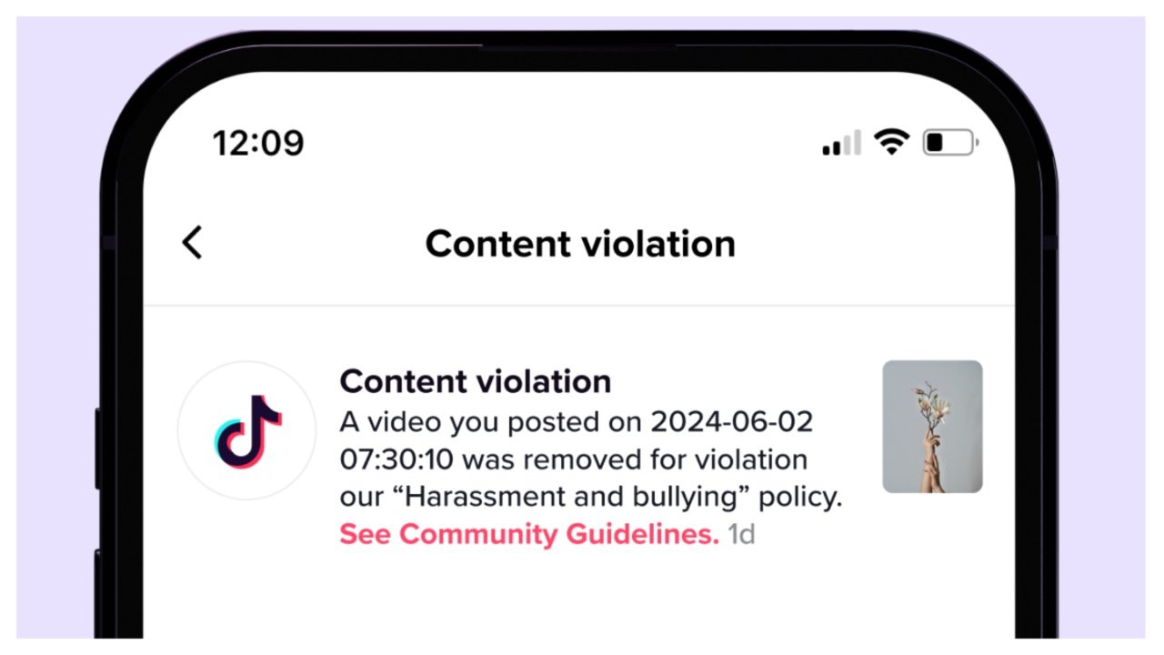 shadow banned tiktok